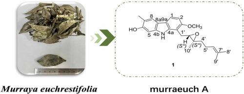 Studies on the chemical constituents of the stems and leaves of Murraya euchrestifolia