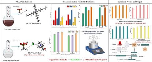 Recyclable methanesulfonic acid-based deep eutectic solvents for efficient biodiesel production via transesterification