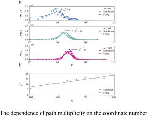 Path multiplicity in regular ring lattices