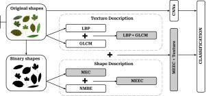 Plant leaf classification using the multiscale entropy of curvature and feature aggregation