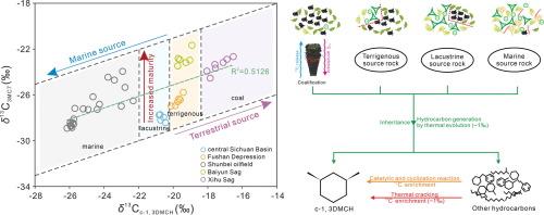 Stable carbon isotope compositions of individual light hydrocarbons in oils: New indicator of source facies and maturity