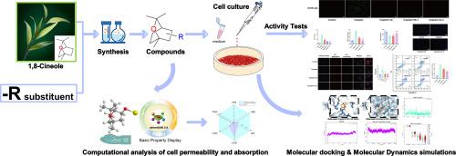 Synthesis of 1,8-cineole derivatives and evaluation of their cytoprotective effects against cisplatin-induced HK-2 cell injury