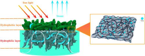 Nitrogen-doped biomass carbon aerogel with self-cleaning ability enhanced copper plasmonic effect for solar evaporation