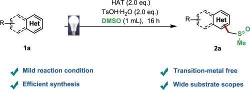 Visible light-mediated CH sulfinylalkylation of N-heteroaromatics via dimethyl sulfoxide