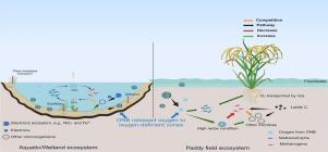 Interfacial oxygen nanobubble for mitigating the methane emissions from aquatic ecosystems: A review
