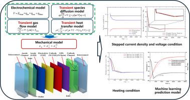 Transient thermomechanical response of an electrolyte supported planar solid oxide electrolysis cell under dynamic loading conditions