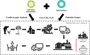 Life cycle assessment of Camellia (Camellia oleifera spp.) seed oil production in China for forestry sustainability and food security
