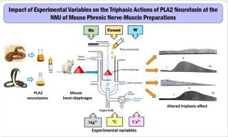 The impact of experimental variables in twitch tension recording on triphasic action of phospholipase A2 neurotoxins at the neuromuscular junction and acetylcholine release