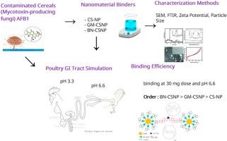 Harnessing the adsorption efficiency of chitosan nanoparticles and its hybrid nanocomposites against aflatoxin B1 in simulated poultry gut conditions