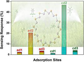 Detection of toxic aldrin and chlordane molecules using β-arsenic phosphide nanotubes – a first-principles perspective