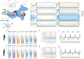 Joint effects of PM2.5 components during periconception on offspring congenital heart disease risk in Chongqing, China