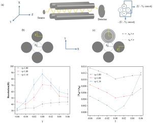 Effect of rod asymmetry on field distortions and transmission characteristics in linear quadrupole mass filters