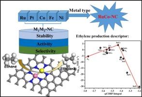 Tuning catalytic performance in ethane hehydrogenation: Metal dimer composition effects on N-doped graphene-supported dual-atom catalysts
