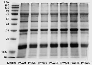 Investigation of the Effect of Plasma-Activated Water on the Physicochemical and Functional Attributes of Soybean Protein Isolate