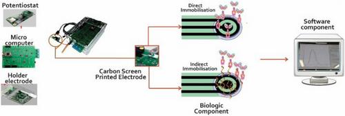 Emerging Biosensor Technologies for Stroke Biomarker Detection: A Comprehensive Overview