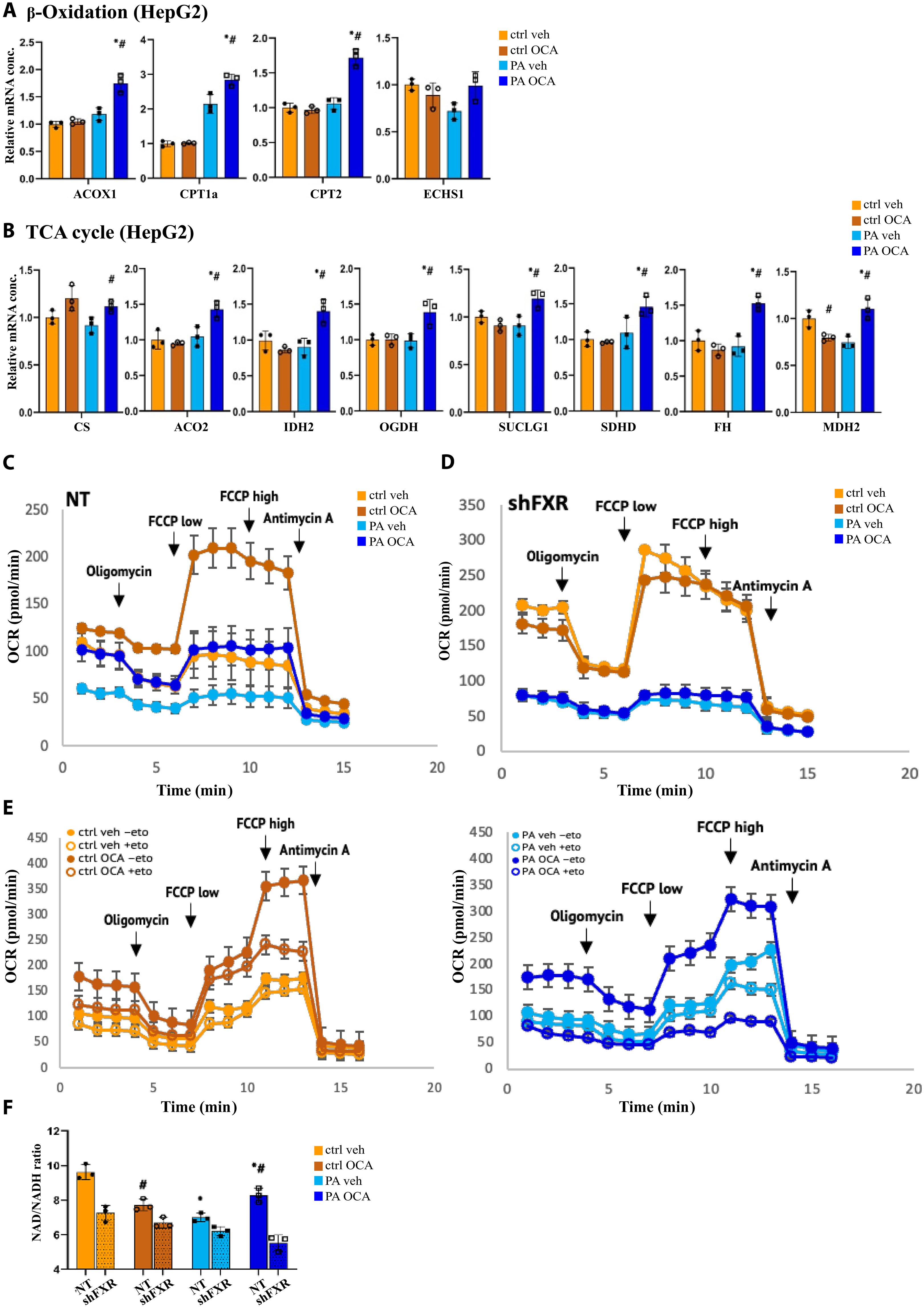 FXR adapts hepatic mitochondrial function to increased substrate oxidation in patients with obesity