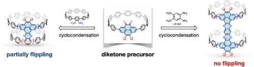 Controlling the Flipping Motion of Cycloparaphenylene Dimers