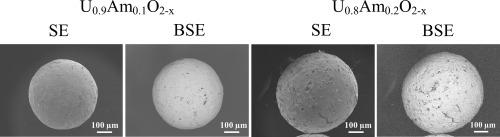 Fabrication of Am-doped UO2 transmutation targets