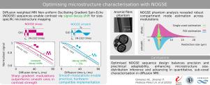 Optimisation and impact of gradient waveform modulation on Non-uniform Oscillating Gradient Spin-Echo sequences for microstructural characterisation