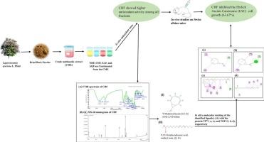 Exploring the anticancer and antioxidant properties of Lagerstroemia speciosa bark extract via phytochemical and molecular docking analysis