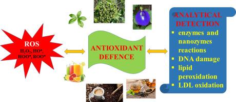 Effective detection of antioxidants using functional schemes of enzyme inhibition and competing (bio)reactions