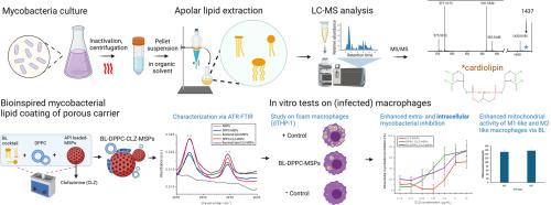 Bioinspired mycobacterial lipid coating of porous particles for enhanced antimicrobial efficacy