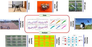 Estimating crop evapotranspiration using drone imagery, ground canopy temperature, and machine learning techniques