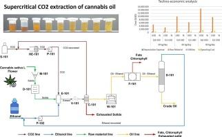 Cannabis oil extraction process and potential applications of lignocellulosic residues. A techno-economic assessment under the biorefinery concept