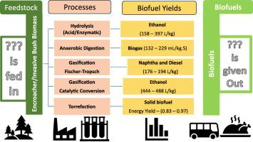 Preliminary evaluation of biofuel production potentials for Southern Africa's encroacher and invasive bush biomass