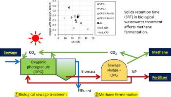 Effect of solids retention time on wastewater treatment and methane recovery by oxygenic photogranules