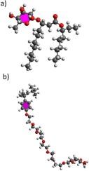Evaluation of rhamnolipid and Triton X-100 surfactants on the extraction of Cd by molecular mechanics simulation