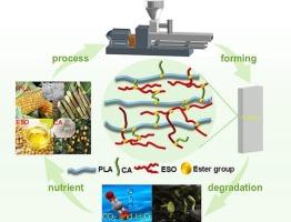 Dynamic transesterification network toughening polylactic acid based on epoxidized soybean oil