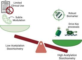 Expanding the landscape of lysine acetylation stoichiometry and clinical impact