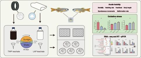 Comparative toxicological impacts of tire wear and latex particle leachates on zebrafish embryos: Chemical characterization, oxidative stress, and transcriptomic disruption