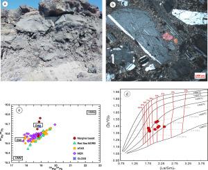 Petrogenesis of rift related marginal basalts from the Asal-Ghoubbet rift area, Republic of Djibouti: Implications for magma genesis and mantle source characteristics