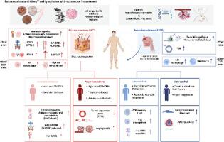 Cutaneous extranodal NK/T cell lymphoma: heterogeneity of spatial transcriptomic profiling according to primary tumor site
