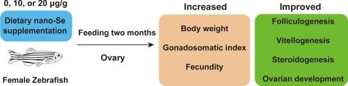 Dietary supplementation of selenium nanoparticle improves the vitellogenesis and fecundity of female zebrafish