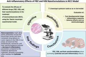 Nanosuspensions of fenbendazole and ivermectin induce parasite death and low inflammatory response in experimental neurocysticercosis