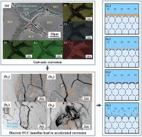 Phase discretization induced nonlinear corrosion response mechanism of Al-Co-Cr-Fe-Ni high-entropy alloys prepared by laser cladding