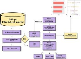 Machine learning-based optimization of the prostate health index for prostate cancer detection