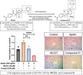 Novel small molecule analogs for advancing apelin receptor antagonism with enhanced plasma and microsomal stability