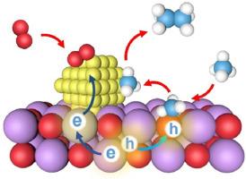 Steering charge dynamics and surface reactivity for photocatalytic selective methane oxidation to ethane over Au/Ti-CeO2