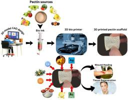 Pectin based three dimensional printing in wound healing: Innovations, challenges, and future prospects: A review