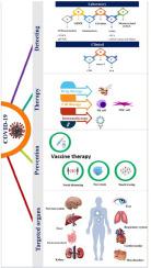 Comprehensive and translational pathobiology of COVID-19 based on cellular and molecular techniques