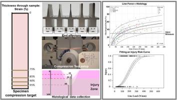 Biomechanical characterization of porcine skin under focal compressive loading with varied edge radii