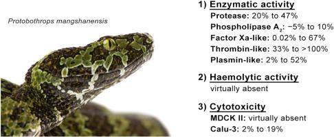 In vitro assessment of enzymatic activities, haemolytic potential, and cytotoxic effects of Mangshan pit viper (Protobothrops mangshanensis) venom