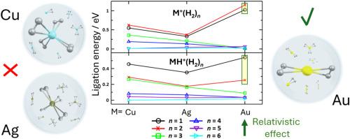 Hydrogenating atomic coinage metal cations (group 11) with H2 on charged He droplets (T<10 K) doped with metal Atoms: Early stages, ligation energies, core structures, group variations, and relativistic effects