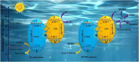 Enhanced bifunctional photocatalytic performances for H2 evolution and HCHO elimination with an S-scheme CoWO4/CdIn2S4 heterojunction