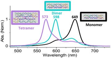 Tunable and robust optical and structural properties of a cooperative squaraine-dye aggregate-DNA DX-DAE tile system†