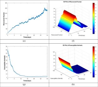Analysis of Leptospirosis Disease with Contaminated Environment in Human and Animal Population via Stochastic Mathematical Model